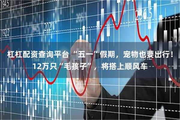 杠杠配资查询平台 “五一”假期，宠物也要出行！12万只“毛孩子”，将搭上顺风车