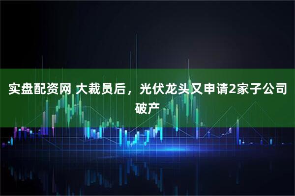 实盘配资网 大裁员后，光伏龙头又申请2家子公司破产
