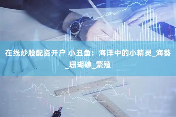在线炒股配资开户 小丑鱼：海洋中的小精灵_海葵_珊瑚礁_繁殖