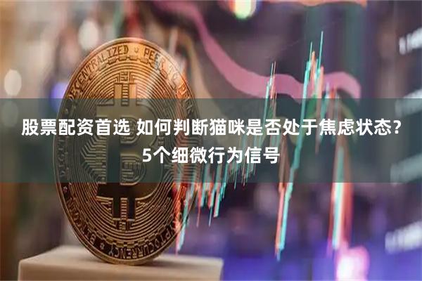 股票配资首选 如何判断猫咪是否处于焦虑状态？5个细微行为信号