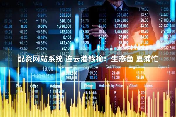 配资网站系统 连云港赣榆：生态鱼 夏捕忙