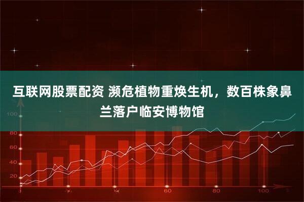 互联网股票配资 濒危植物重焕生机，数百株象鼻兰落户临安博物馆