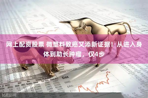 网上配资股票 微塑料致癌又添新证据！从进入身体到助长肿瘤，仅4步